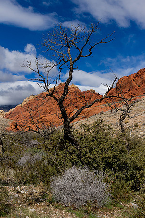 150131_Las Vegas_0141